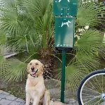Green Resort リゾート 4*