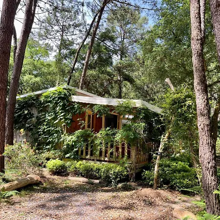 Ośrodek wypoczynkowy Green Resort 4*