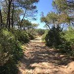 Green Resort 4*