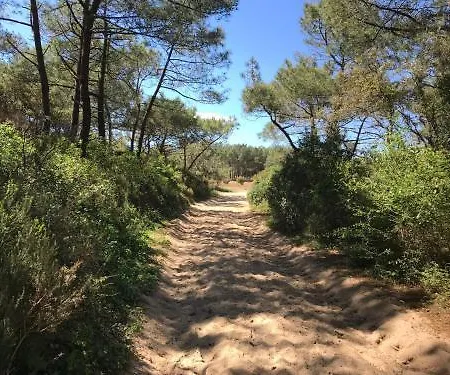 Green Resort 4*