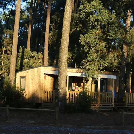 Green Resort 4*
