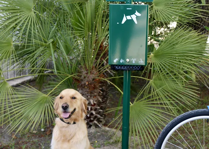 Green Resort Station touristique 4*